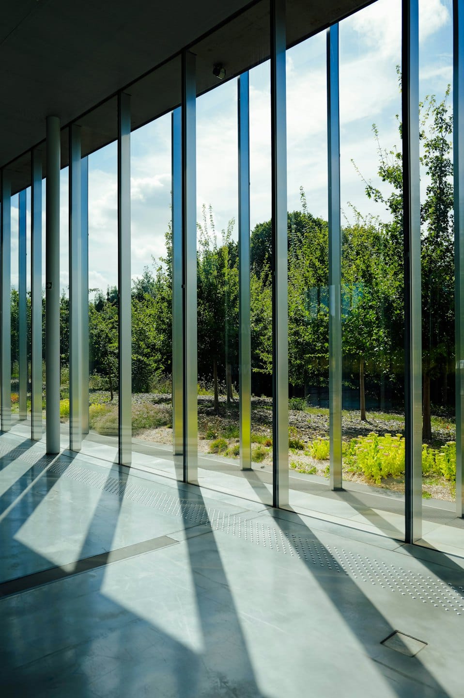 Sunlight streams through floor-to-ceiling windows into a garden view.